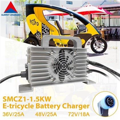 48V E Rickshaw batterioplader